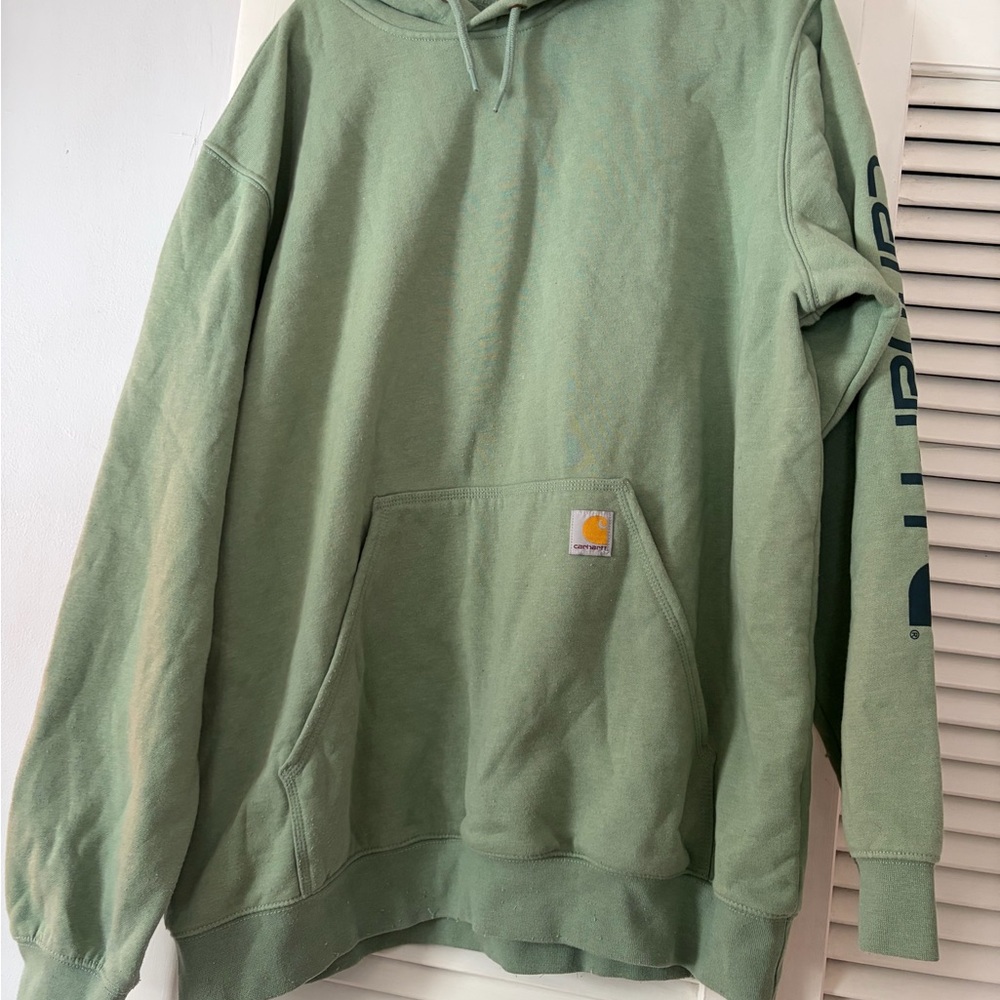 Carhartt Sage Green Men's Hoodie
